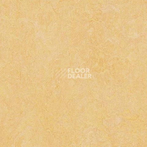 Линолеум Forbo Marmoleum Marbled Authentic 3846 natural corn фото 1 | FLOORDEALER